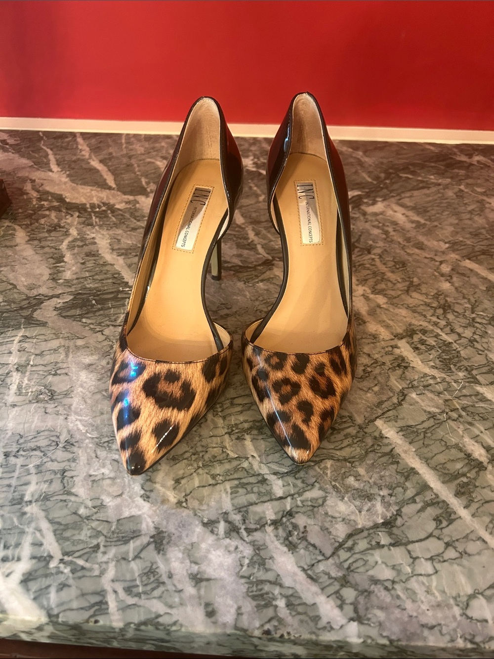 Leopard Print Pointed-Toe Pumps - Women